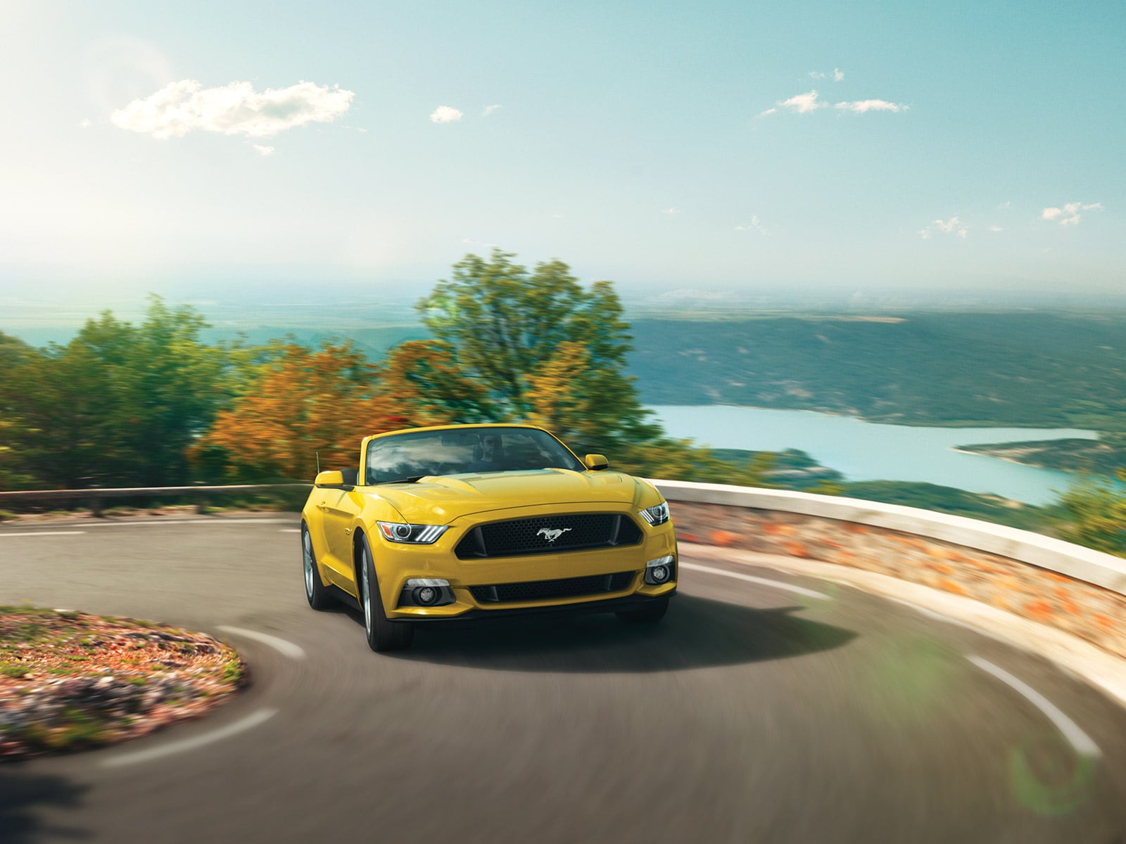 http://www.ford.com/global/2015mustang/img/gallery/09/09.jpeg