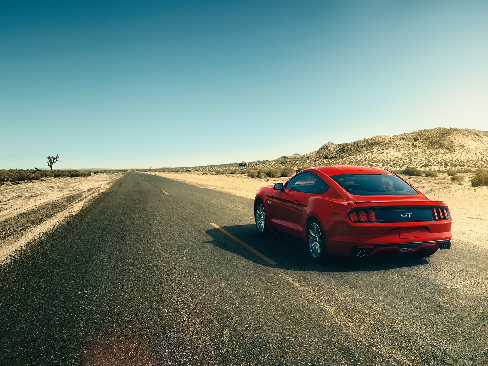 http://www.ford.com/global/2015mustang/img/gallery/desert-rear/desert-rear.jpeg