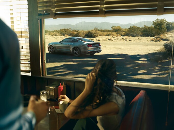 s550_gallery_804x510_diner.jpg