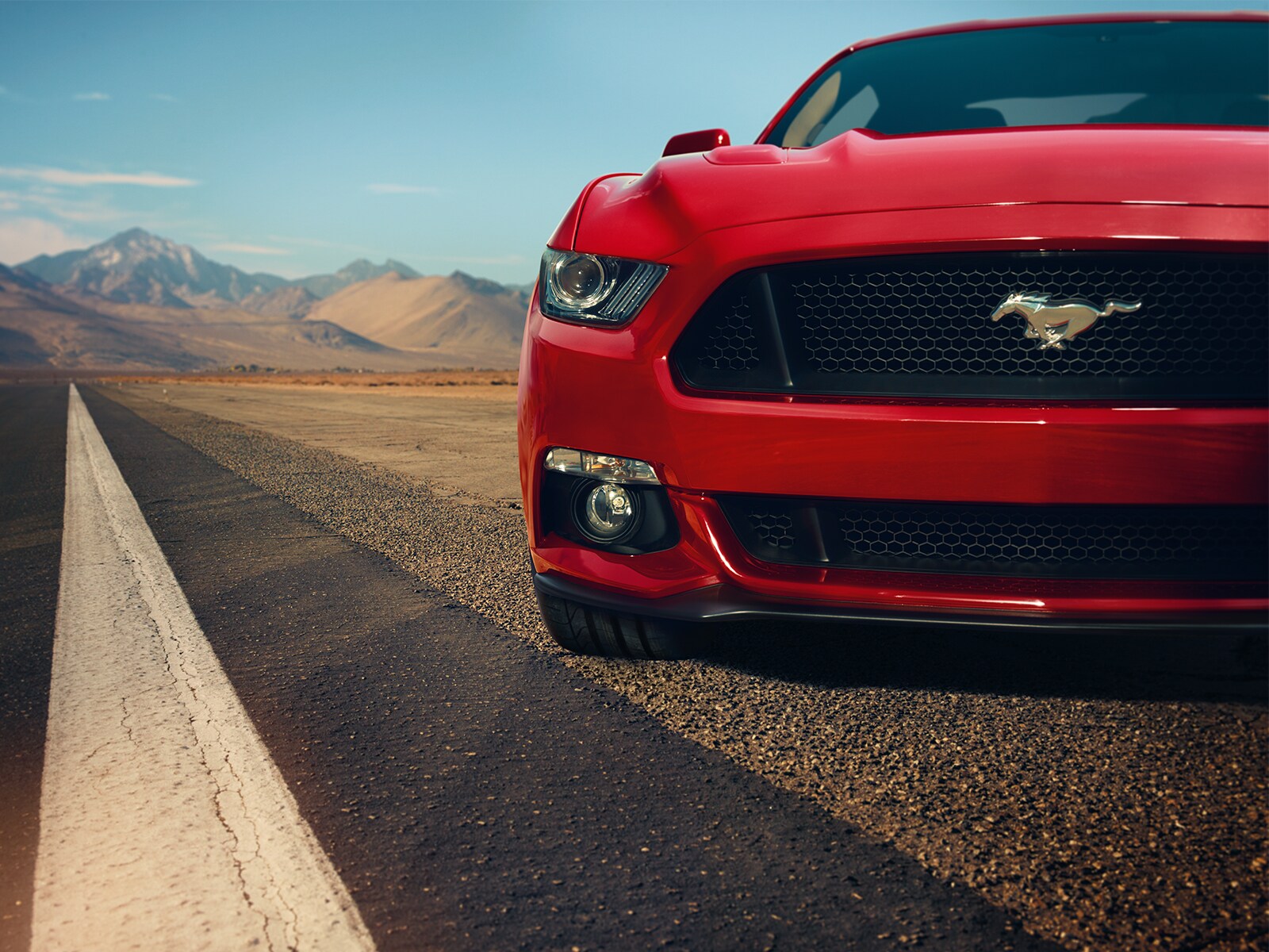 http://www.ford.com/global/2015mustang/img/gallery/tarmac-grill/tarmac-grill.jpeg