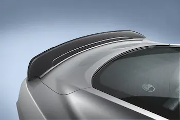 Mustang Shelby GT350 2016-2020 Rear Spoiler Track Pack