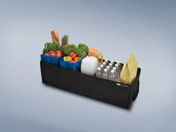 Ford Large Soft-Sided Folding Cargo Organizer Main Image