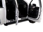 F-150 SuperCrew 2015-2020 Black Platinum Door Sill Plates Main Image