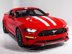 Mustang 2015-2026 White Dual Hood Stripe Kit Main Image
