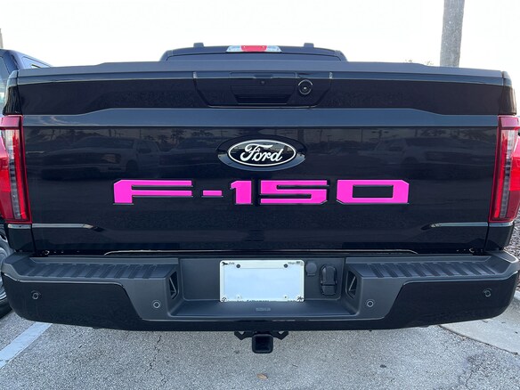 F-150 2021-2025 Tailgate Letters - Pink Main Image