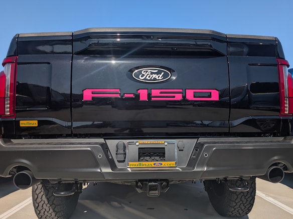 F-150 2024-2025 Tailgate Lettering - Pink for Pro-Access Tailgate Main Image