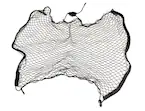 NZ6Z9946046A_8.jpg