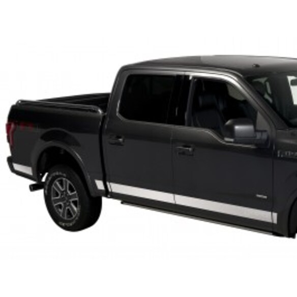 F-150 Reg Cab 2015-2020 Stainless Steel Body Side Molding Trim for 8.0' Bed Main Image
