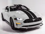 Mustang 2015-2025 Gloss Black 10" Over-The-Top Dual Stripes Kit Main Image