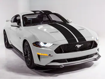 Mustang 2015-2025 Gloss Black 10" Over-The-Top Dual Stripes Kit