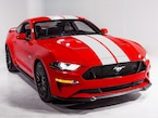 Mustang 2015-2025 Gloss White 10" Over-The-Top Dual Stripes Kit Main Image
