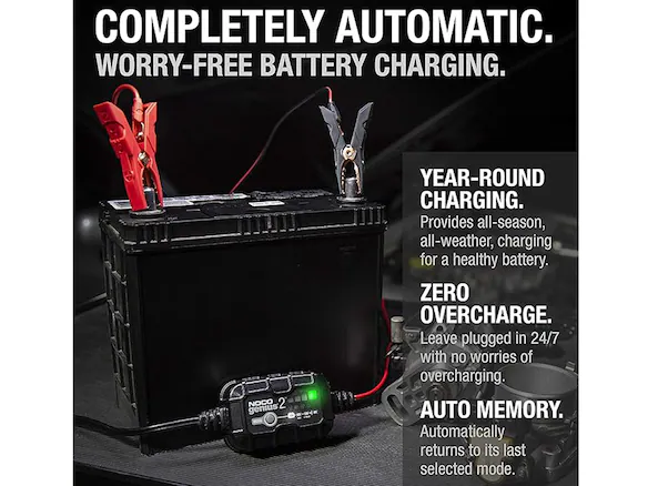 How to Keep Your Car Battery Healthy Year-Round: Expert Tips