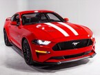 Mustang 2018-2025 White Dual Hood Stripe Kit Main Image