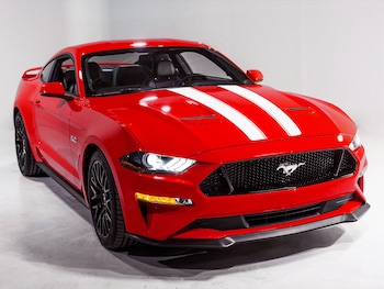Mustang 2018-2025 White Dual Hood Stripe Kit