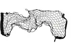 VM2DZ5446046A_5.jpg