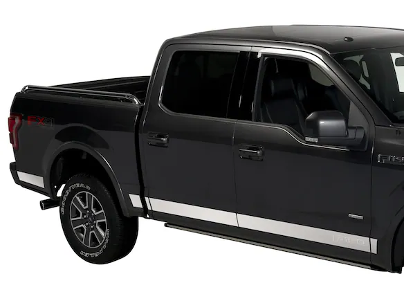 F-150 Reg Cab 2021-2025 Black Platinum Body Side Molding for 8.0' Bed Main Image