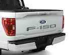 F-150 2021-2025 Black Platinum Lettering Tailgate Badge Main Image