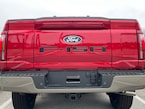 F-150 2024-2025 Tailgate Lettering - Matte Black for Pro-Access Tailgate Main Image
