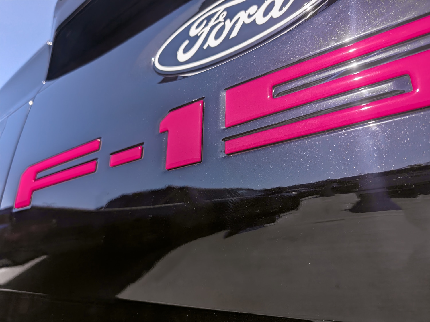 新品タグ付き
Sinano シナノ ガード付き SLポール
サイズ 115cm F-150 2024-2025 Tailgate Lettering - Pink for Pro-Access