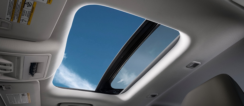 2026 Ford Bronco Sport® view from inside the vehicle with the sunroof open