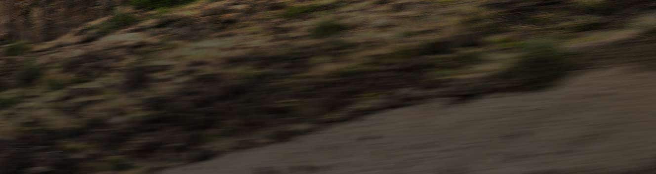 2026 Ford Super Duty® truck pulling a large trailer on a mountain road