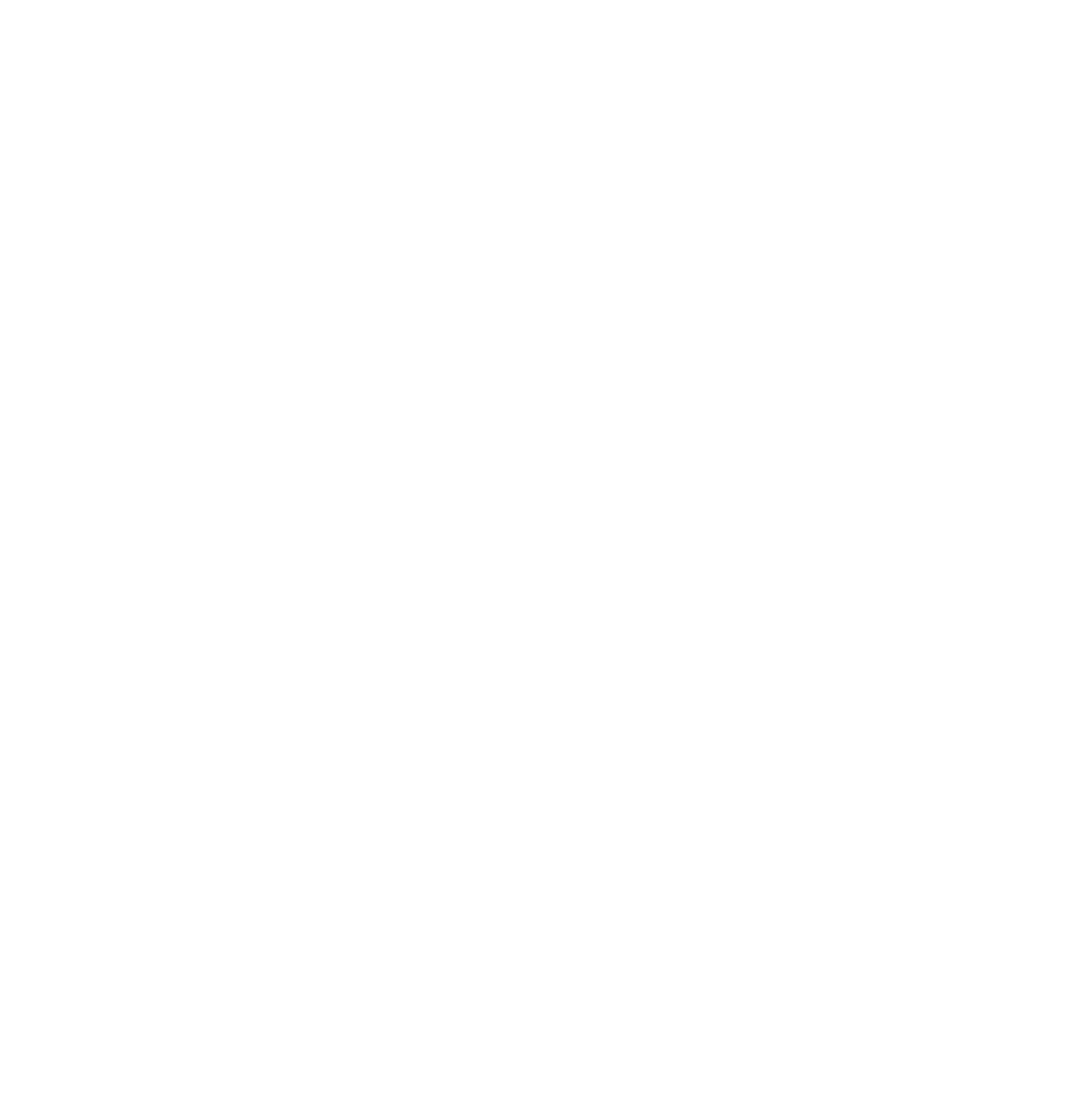 Ready Set Ford