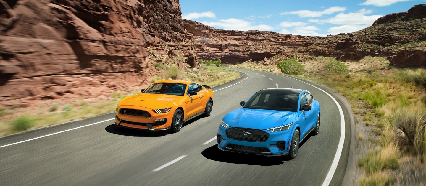 The Ford Mustang Family The Sound Of A Stampede
