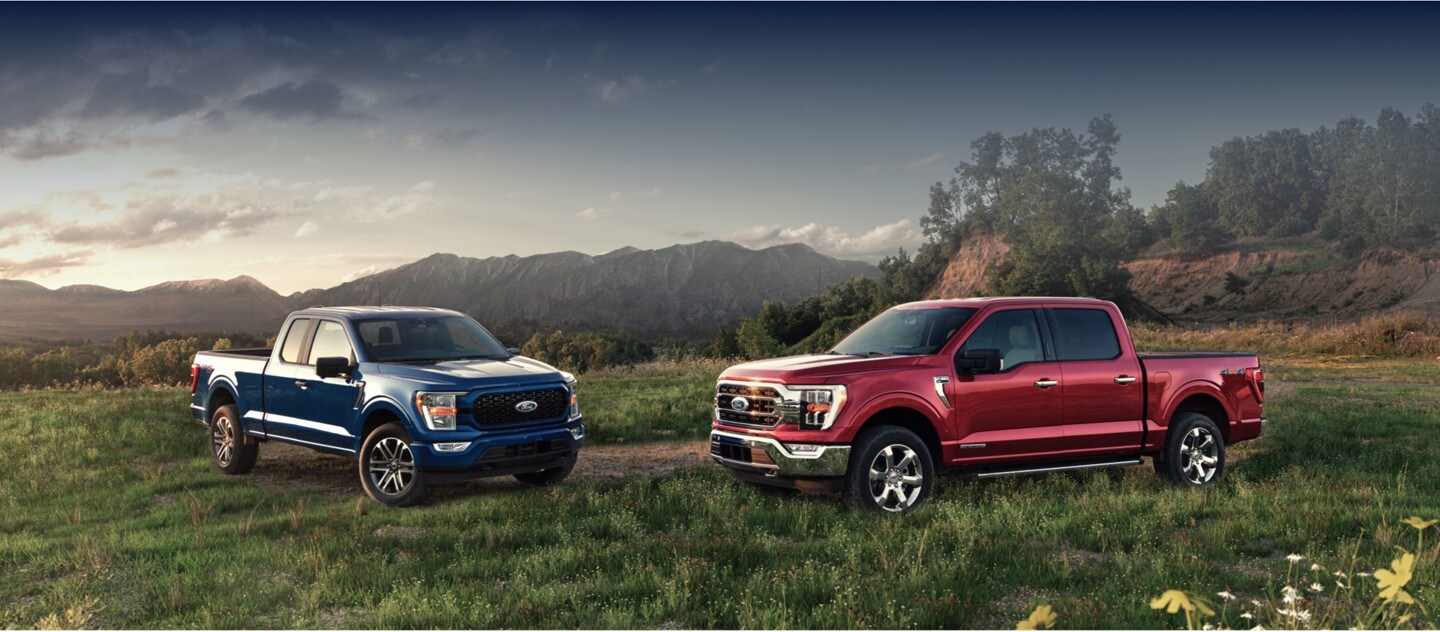 Two Ford F-150s parked next to one another in a field