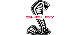 2020 Mustang Shelby GT500