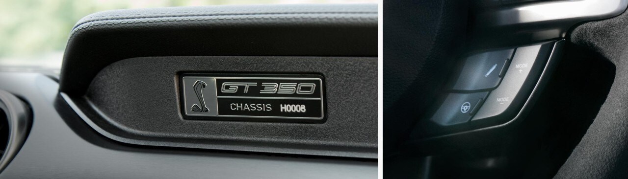 Características de las puertas del Shelby GT350 2018.