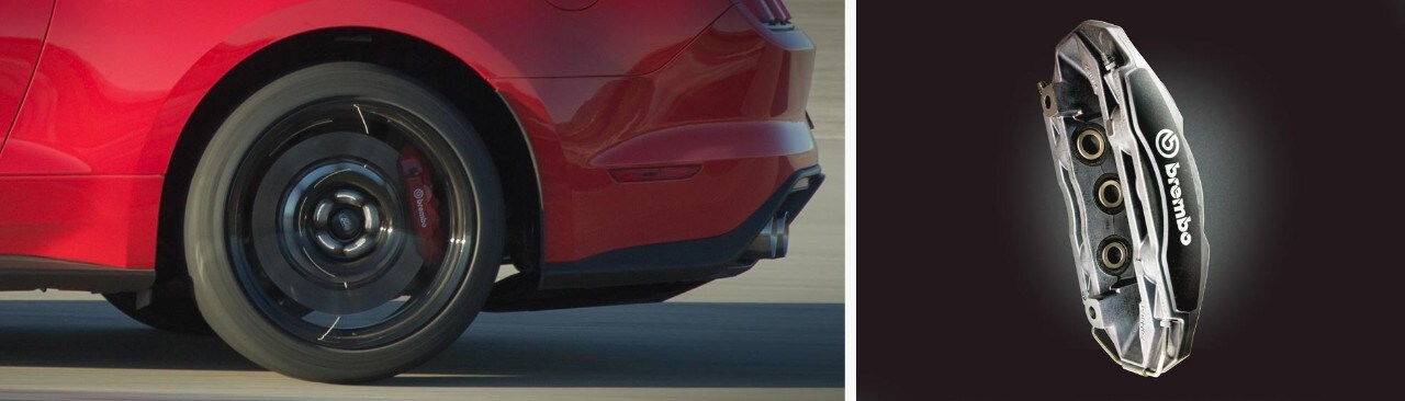 Rueda trasera con mordazas Brembo.