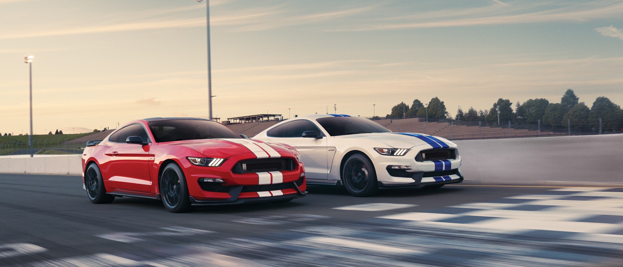 2019 Ford Dealer Sales brochure Shelby Mustang GT 350 R GT 350 new original 