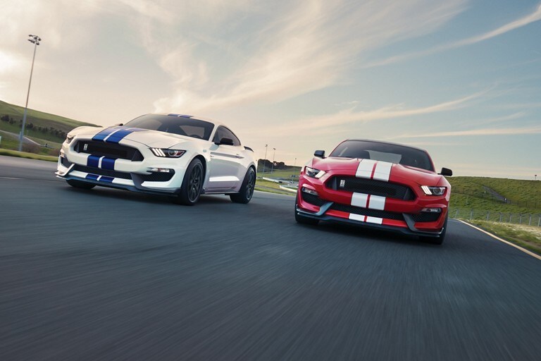 Un par de Shelby G T trescientos cincuenta 2019 en una pista de carreras
