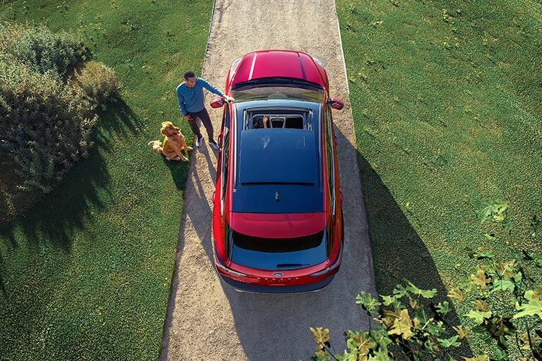 Overhead shot of man and dog standing next to Ford vehicle.