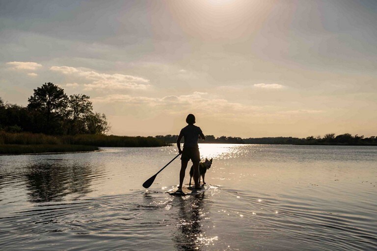A person and a dog on a paddleboard