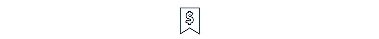 Icon of Flag with dollar symbol