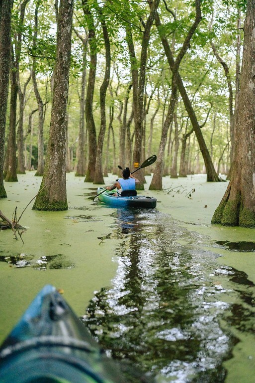Kayaking in a state park