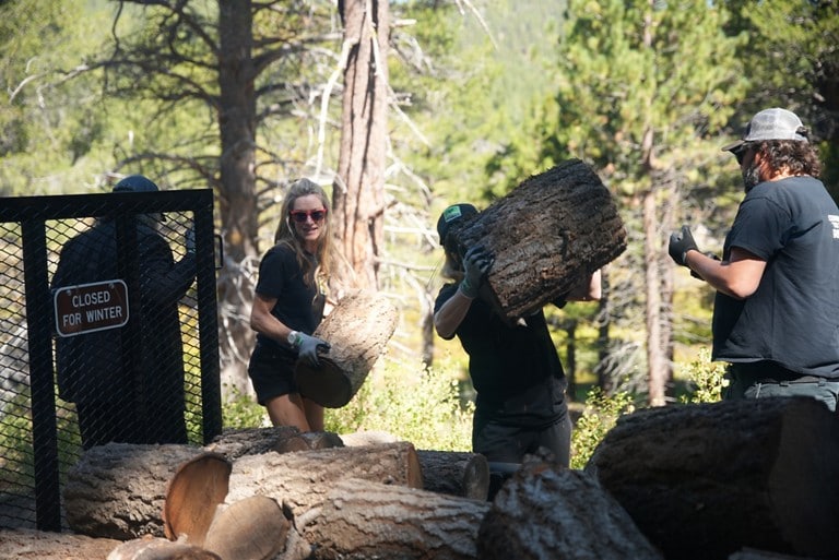  People loading logs onto a trailer.