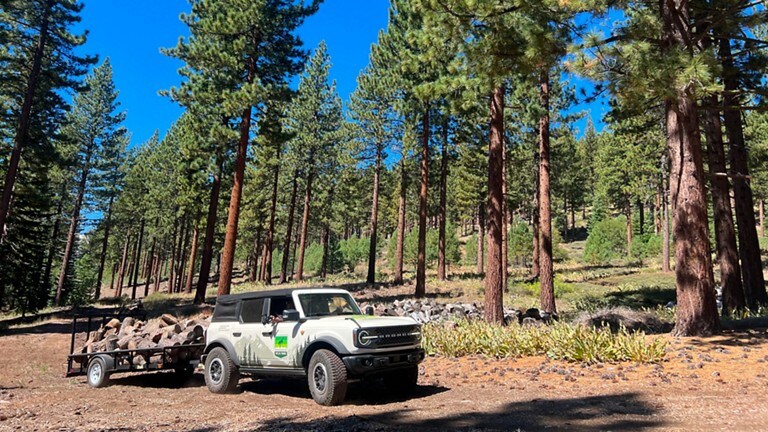 Bronco traveling with trailer loaded with logs through the forest