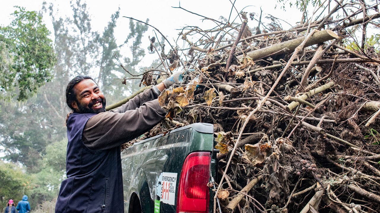 Volunteer piling branches in the back of a pickup