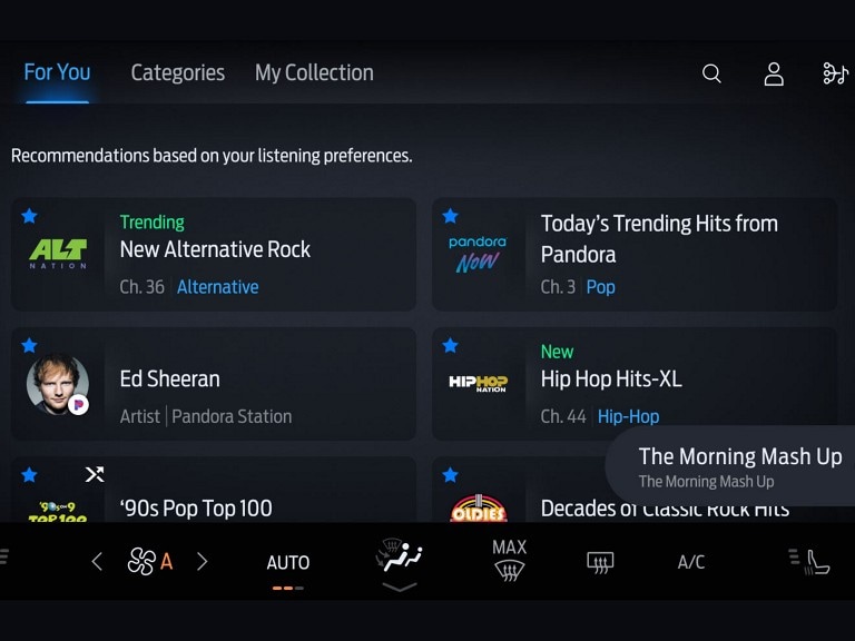 SiriusXM black in-vehicle technology screen showing musical artist and radio station recommendations.