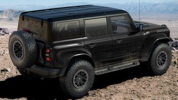 Raptor® Shadow Black Appearance Package