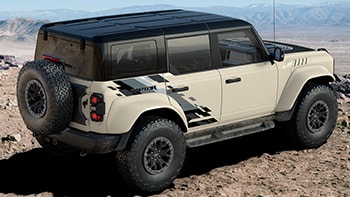 Black Appearance Raptor® Side Graphic