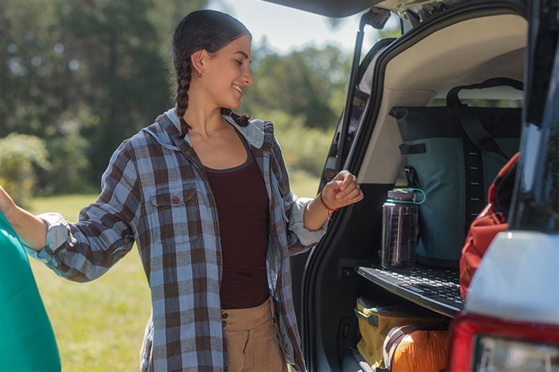 Cargo Management System