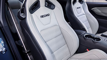 Seat Belt with Color Accent