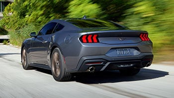 Bronze Appearance Package