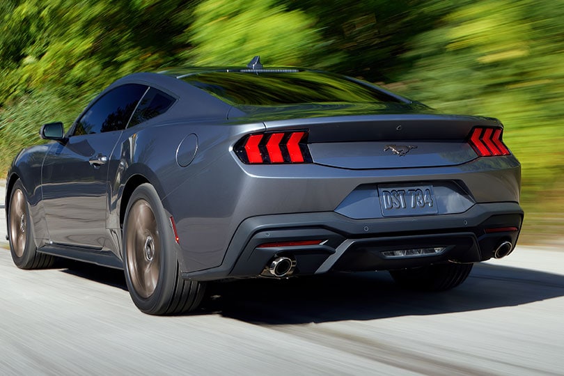 Bronze Appearance Package