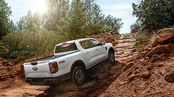 FX4® Off-Road Package (4x4 only)