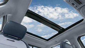Moonroof (Twin Panel)
