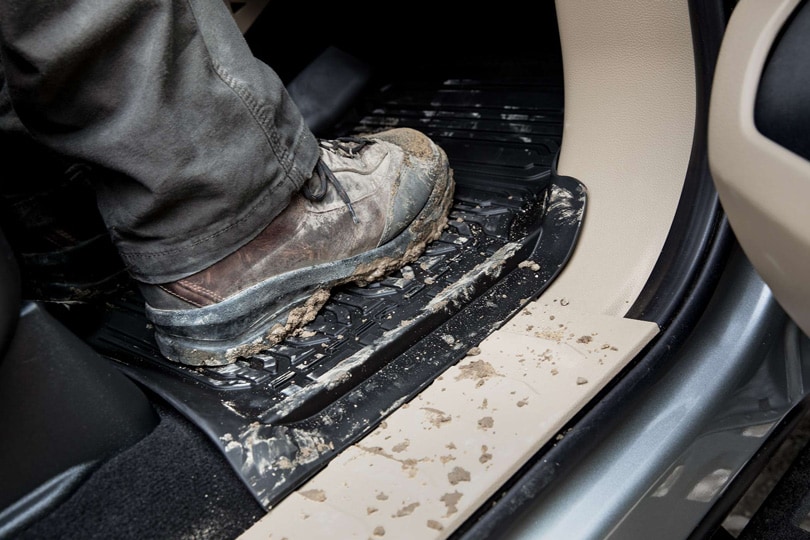 All-Weather Floor Mats without Carpet Mats